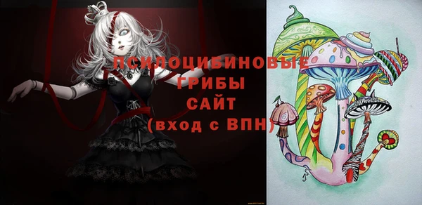 тгк Переславль-Залесский