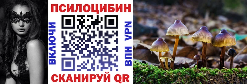Псилоцибиновые грибы ЛСД  omg вход  Нижнеудинск 